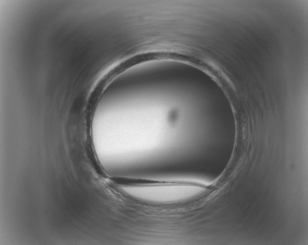 X0000081491069200701191852