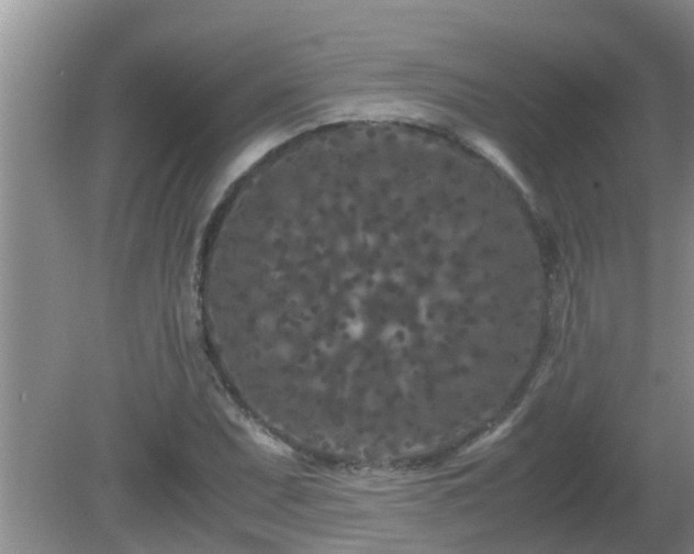 X0000081491071200701191852