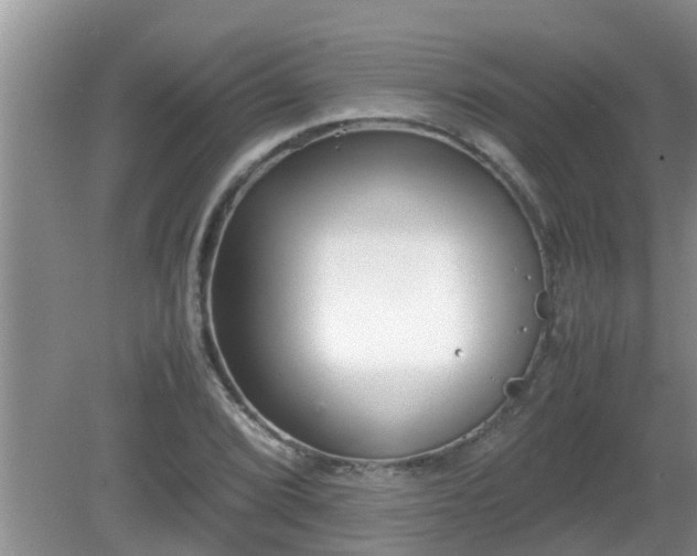 X0000081491072200701191852