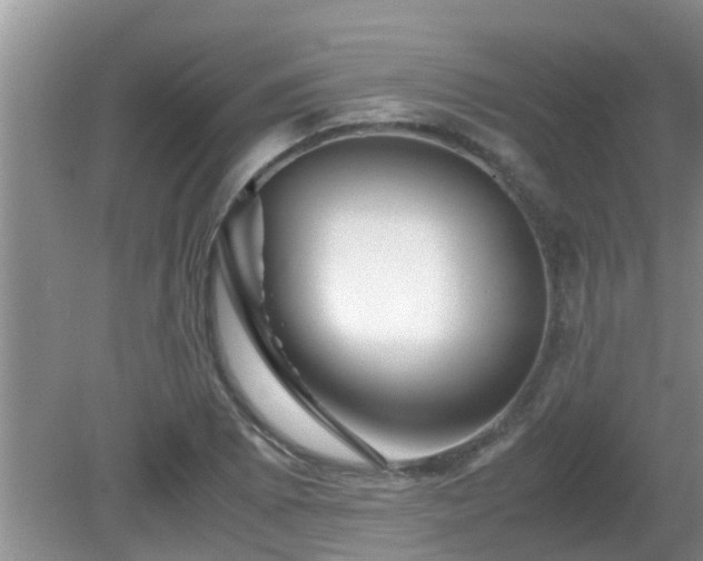 X0000081491073200701191852