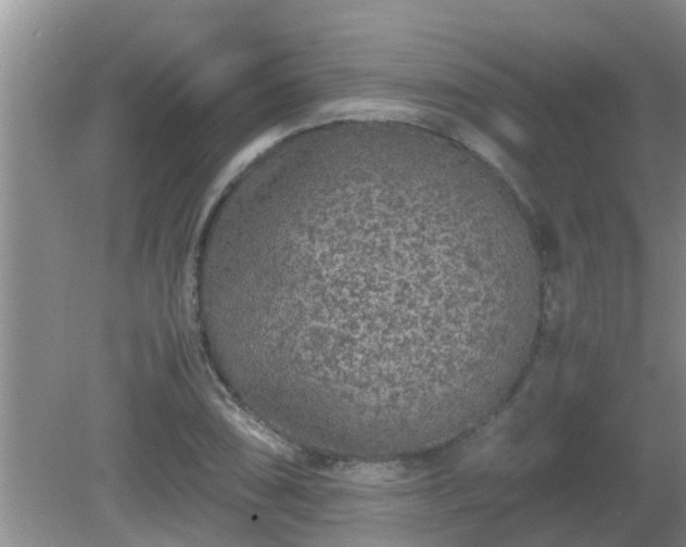 X0000081491074200701191852