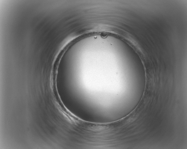 X0000081491076200701191852