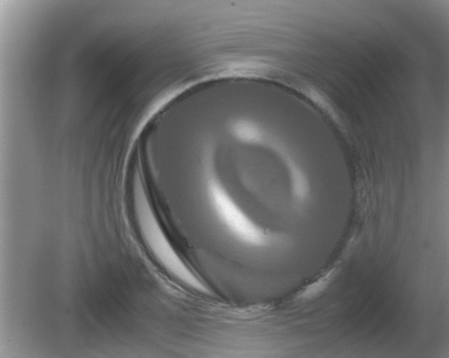 X0000081491077200701191852