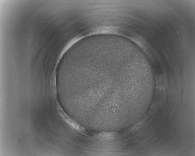 X0000081491078200701191852