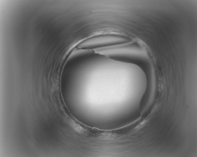 X0000081491081200701191852