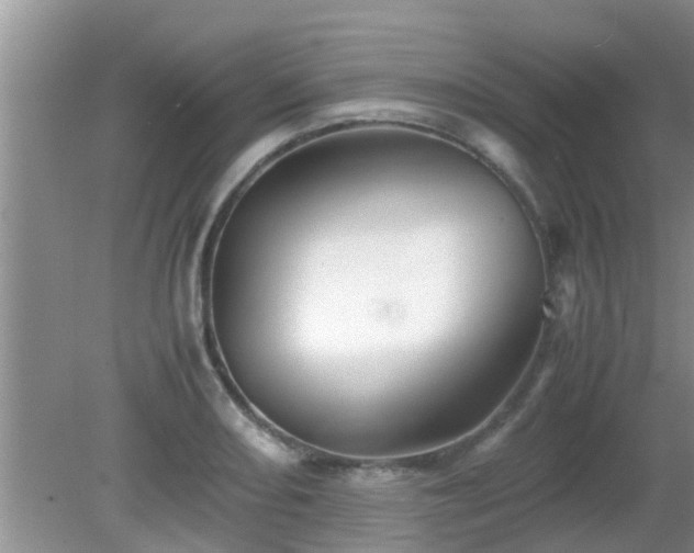 X0000081491082200701191852