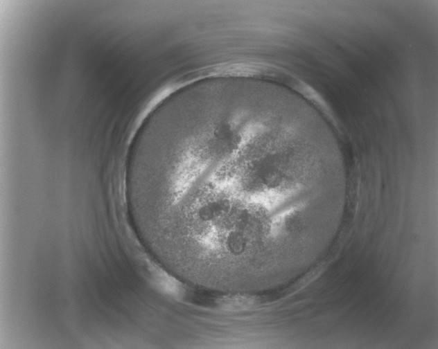 X0000081491083200701191852