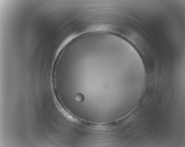 X0000081491086200701191852