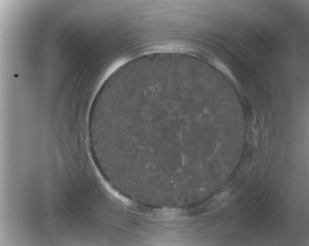 X0000081491087200701191852