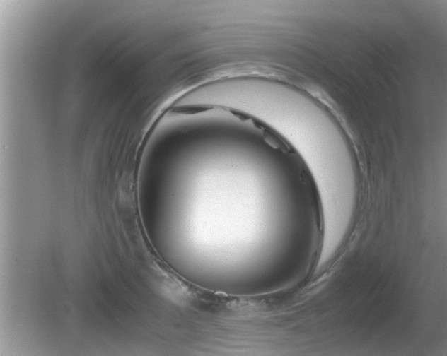 X0000081491089200701191852