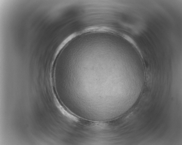 X0000081491090200701191852