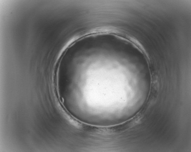 X0000081491091200701191852