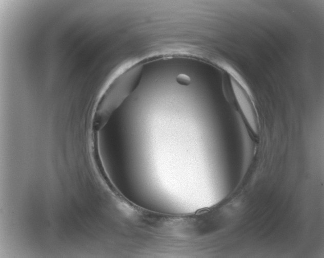 X0000081491093200701191852