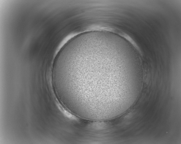 X0000081491094200701191852