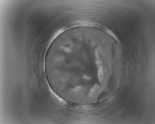 X0000081491095200701191852