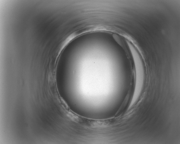 X0000081491097200701191852