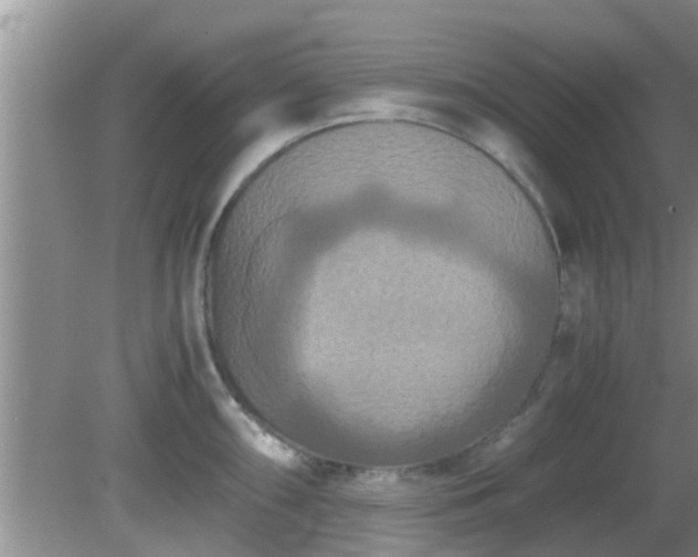 X0000081491098200701191852