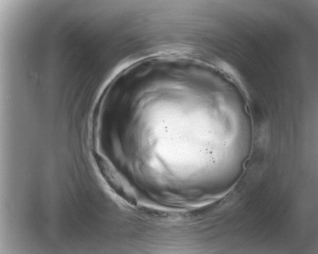 X0000081491099200701191852