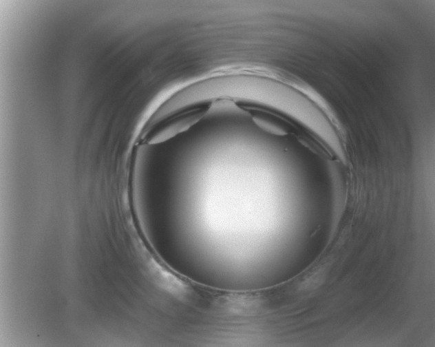 X0000081491102200701191852