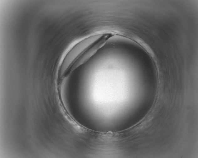 X0000081491104200701191852