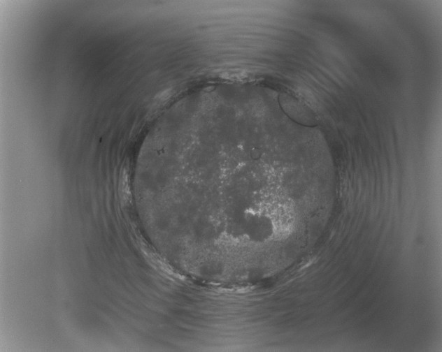 X0000081491106200701191851