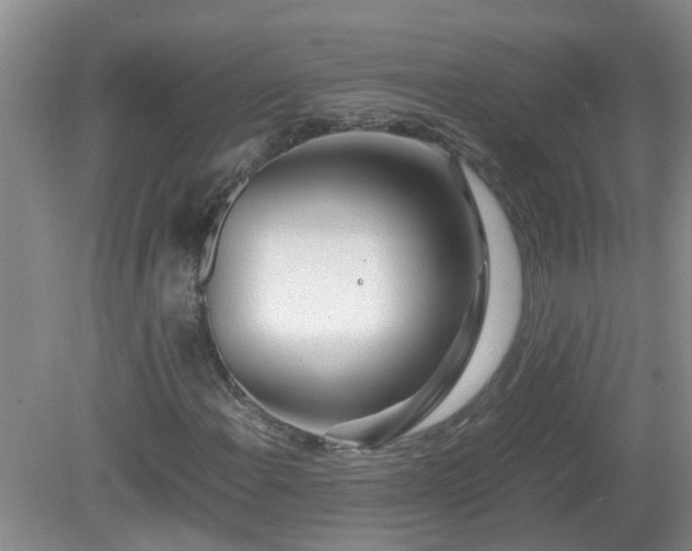 X0000081491108200701191851