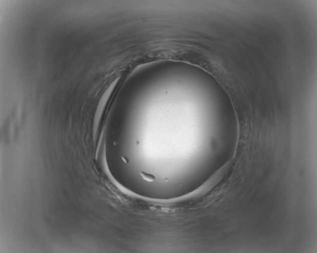 X0000081491109200701191851