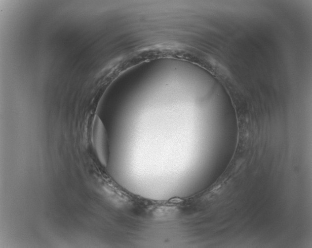 X0000081491110200701191851