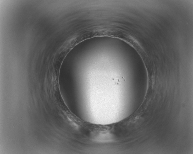 X0000081491111200701191851