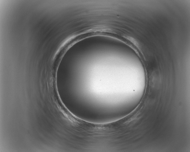 X0000081491115200701191851