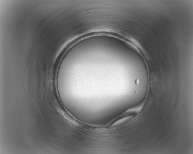 X0000081491116200701191851