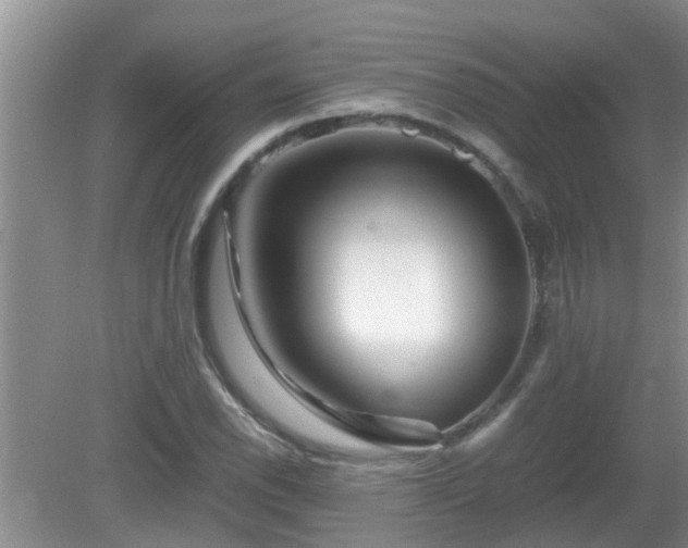 X0000081491118200701191851