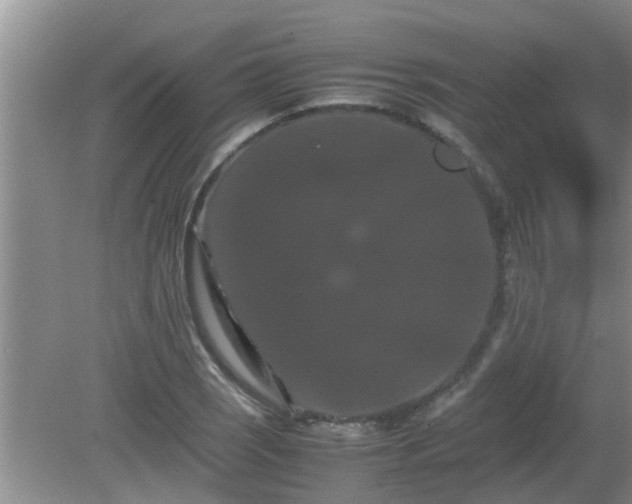 X0000081491121200701191851