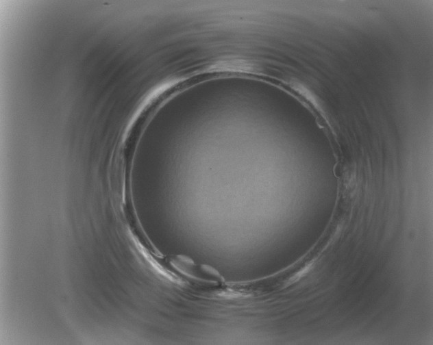 X0000081491123200701191851