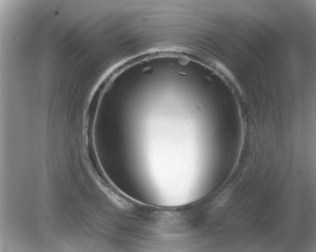 X0000081491124200701191851