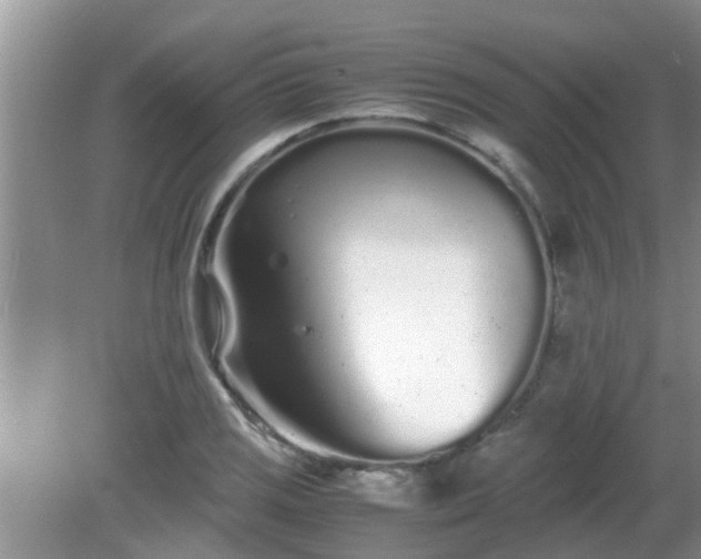 X0000081491125200701191851