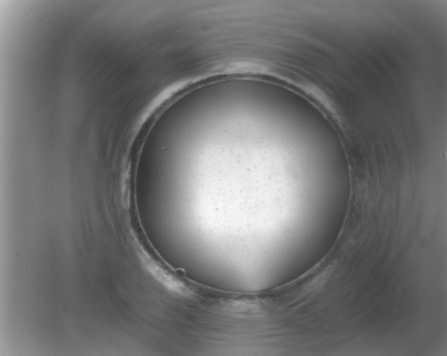 X0000081491126200701191851