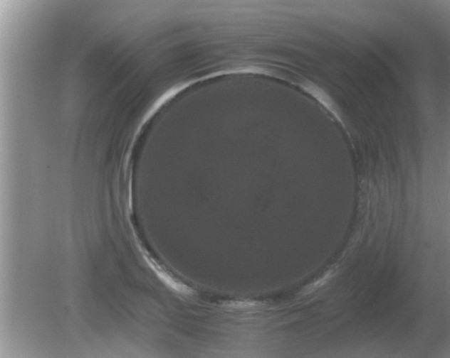 X0000081491127200701191851