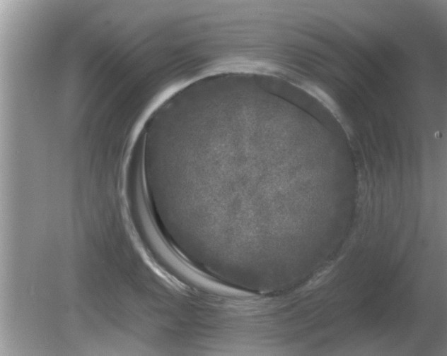 X0000081491128200701191851