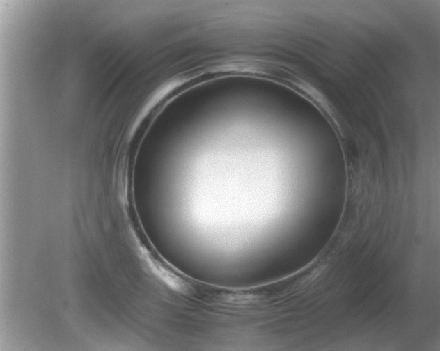 X0000081491131200701191851