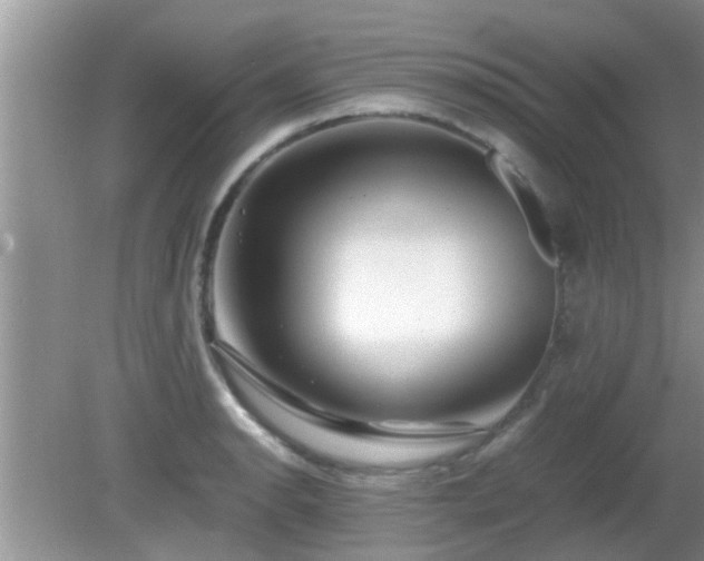 X0000081491134200701191851