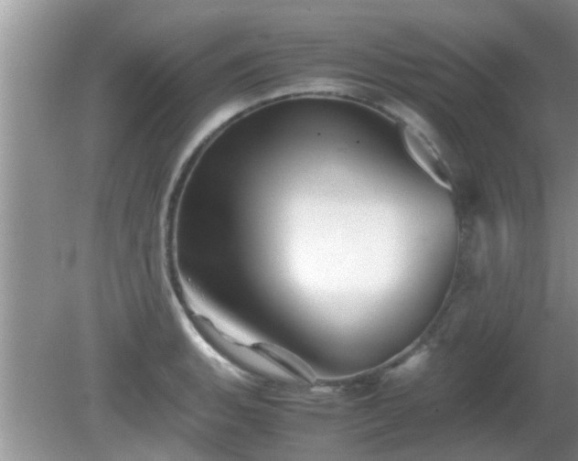 X0000081491135200701191851