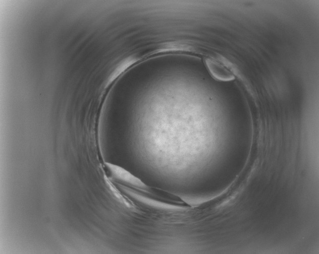 X0000081491137200701191851