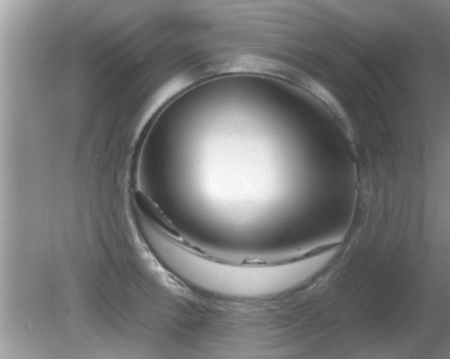 X0000081491138200701191851