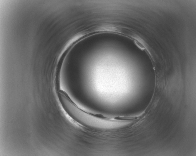 X0000081491139200701191851