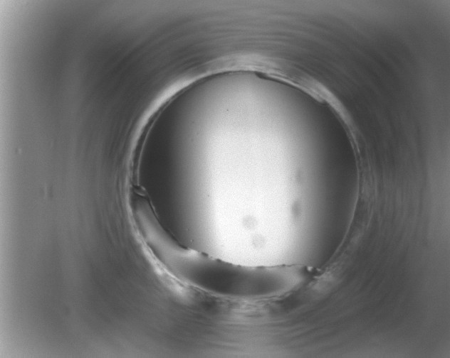 X0000081491144200701191851