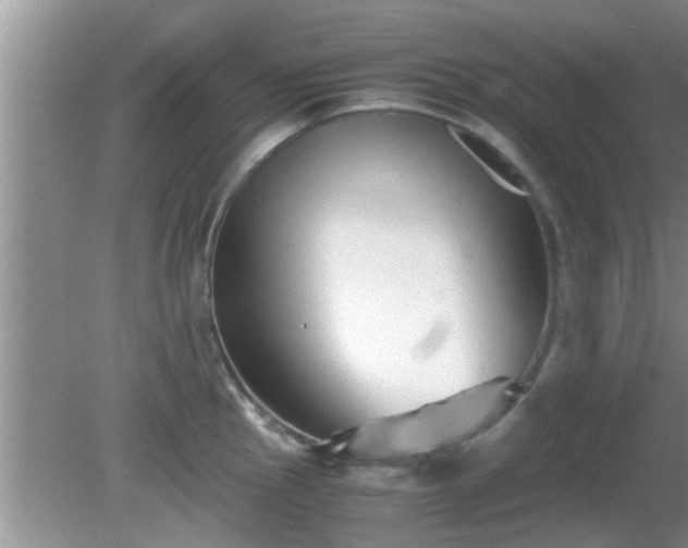 X0000081491145200701191852