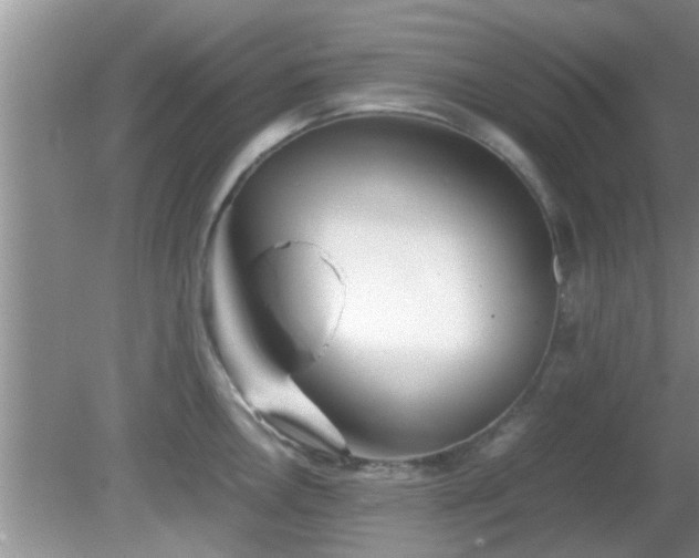 X0000081491146200701191852