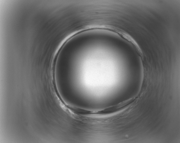 X0000081491148200701191852