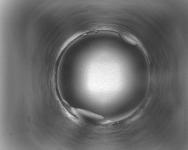 X0000081491149200701191852